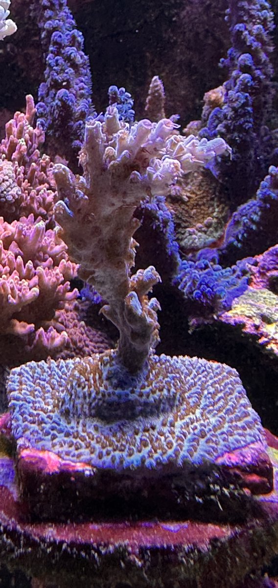 IMG_4422.jpeg