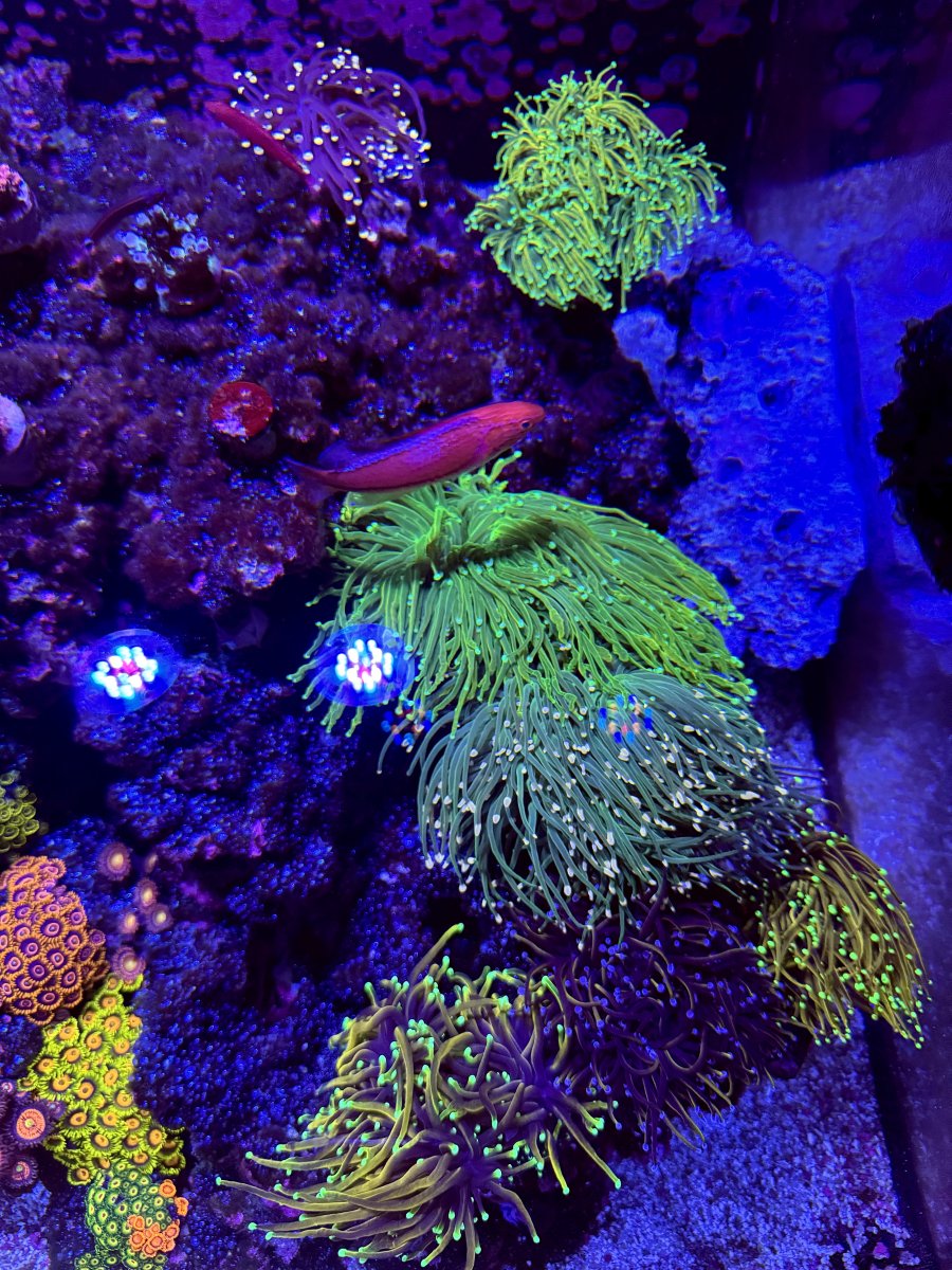 IMG_4428.jpeg