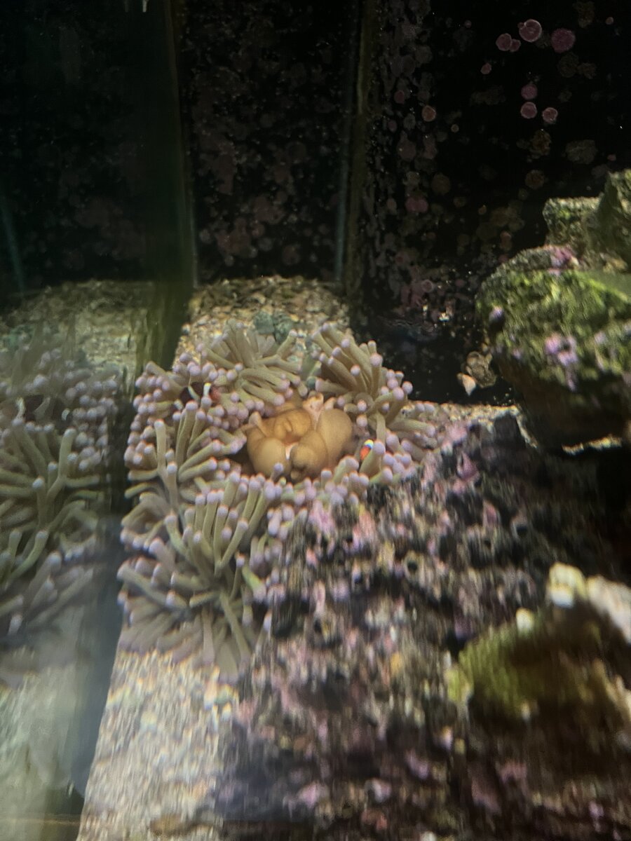 IMG_4429.jpeg