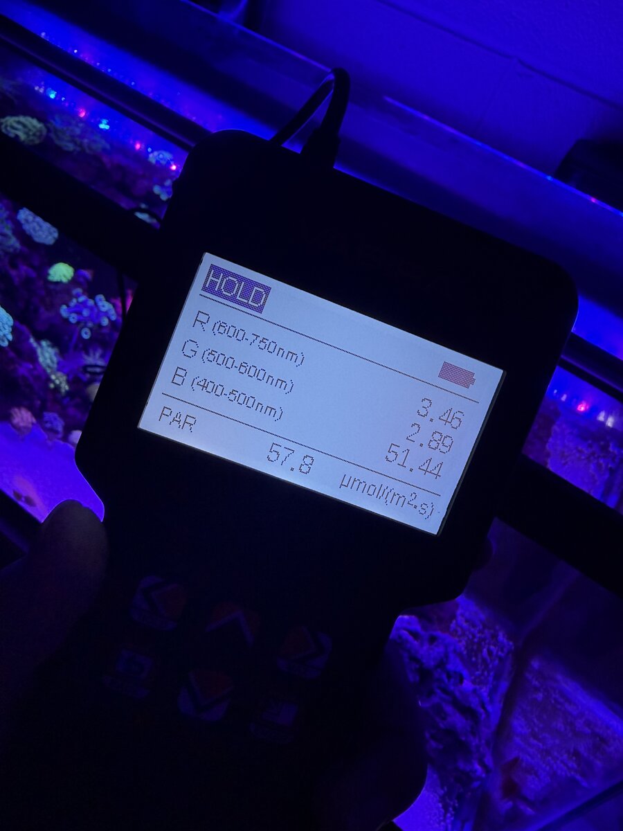 IMG_4430.jpeg