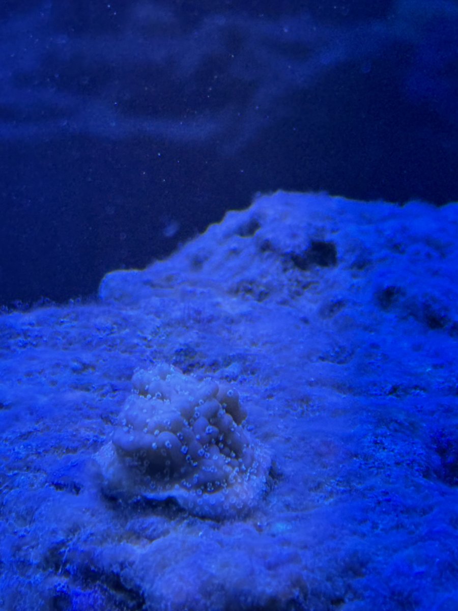 IMG_4433.jpeg