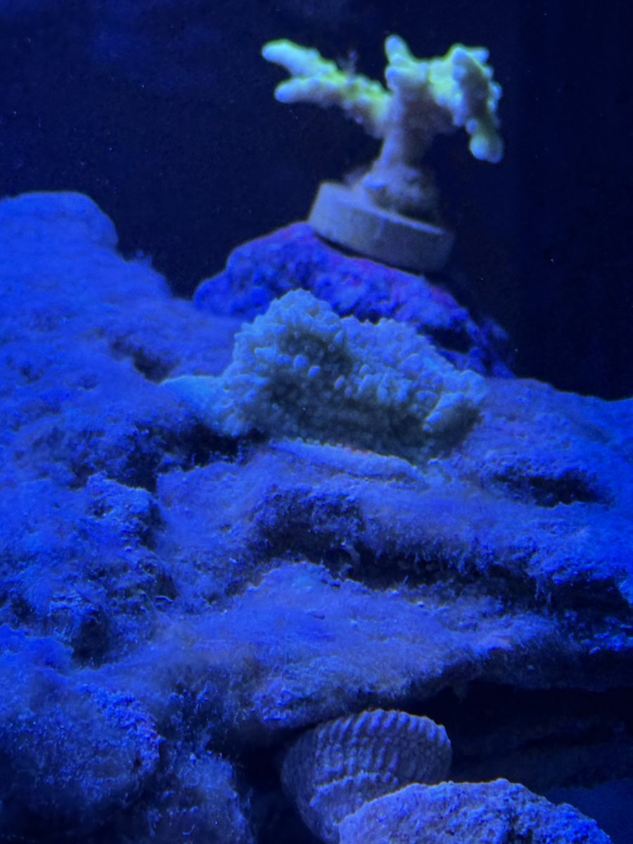 IMG_4434.jpeg