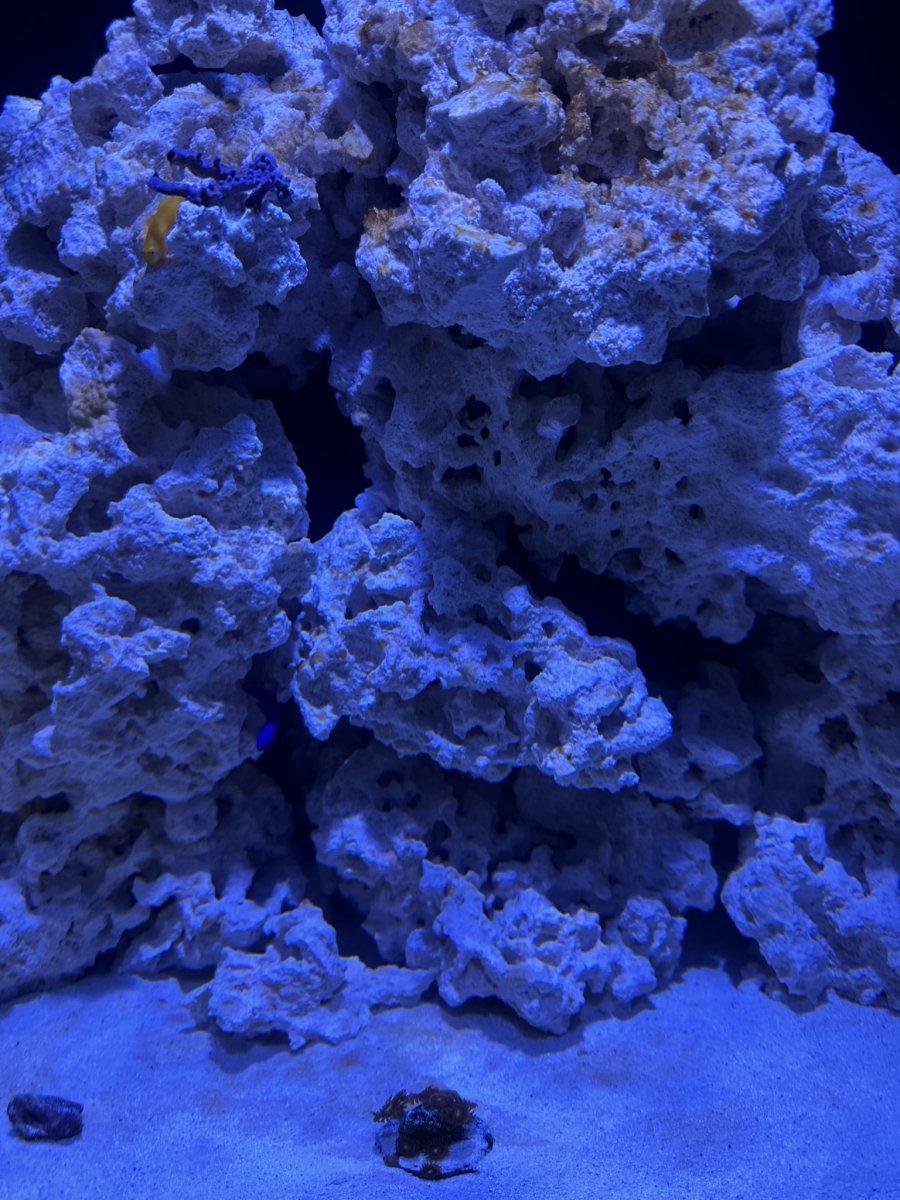 Newbie who rushed a bit. Tail between my legs. Looking for advice on ...