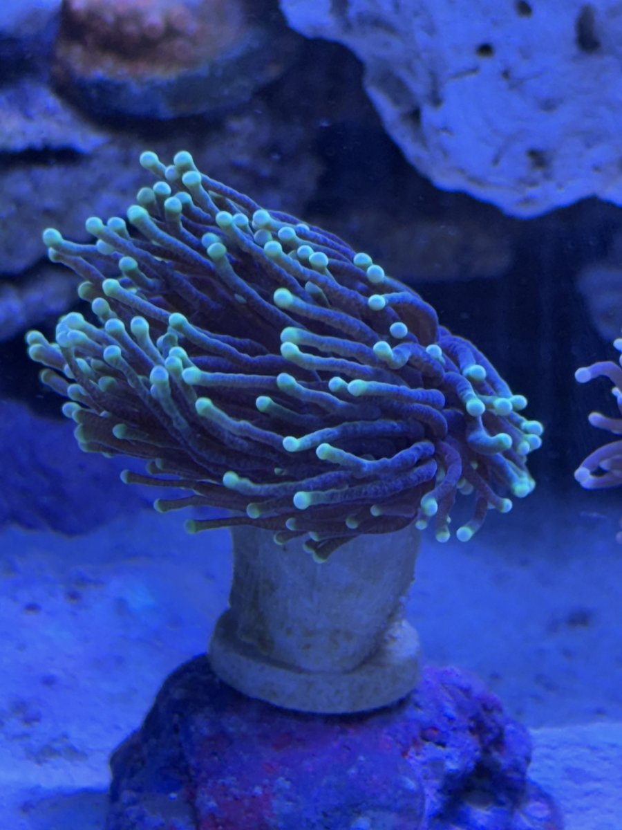 IMG_4456.jpeg