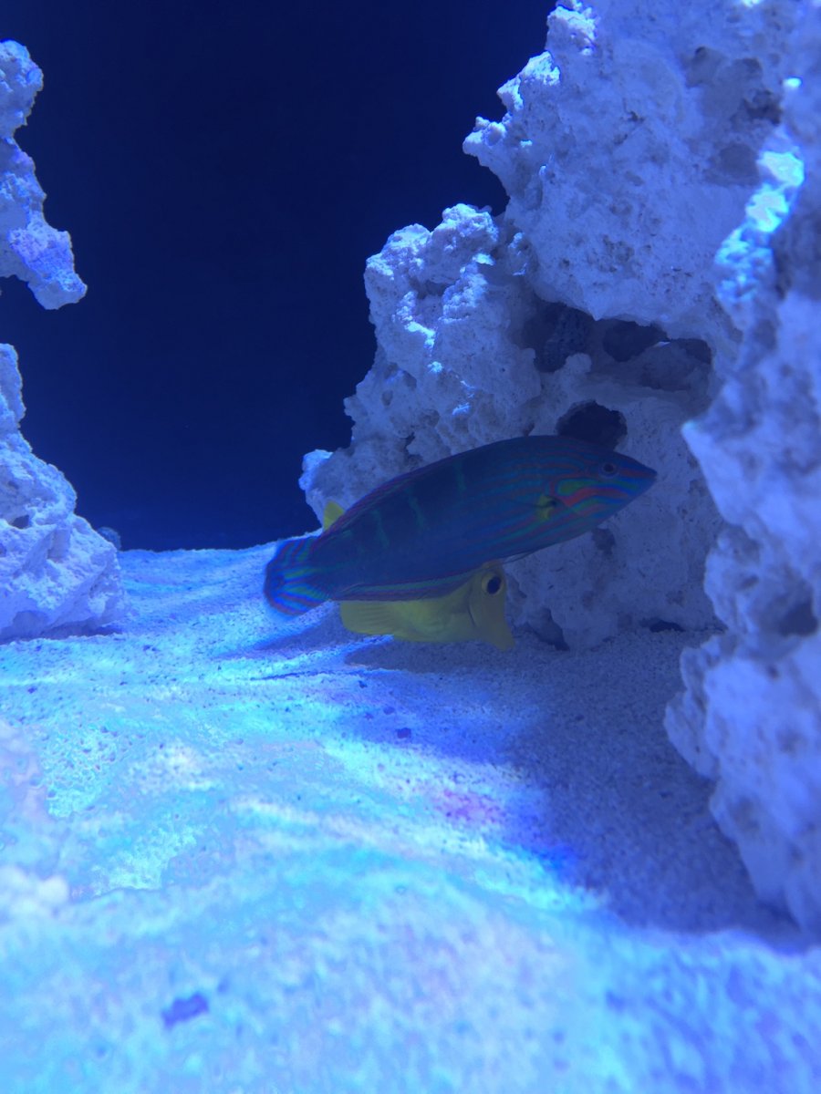 IMG_4467.JPG