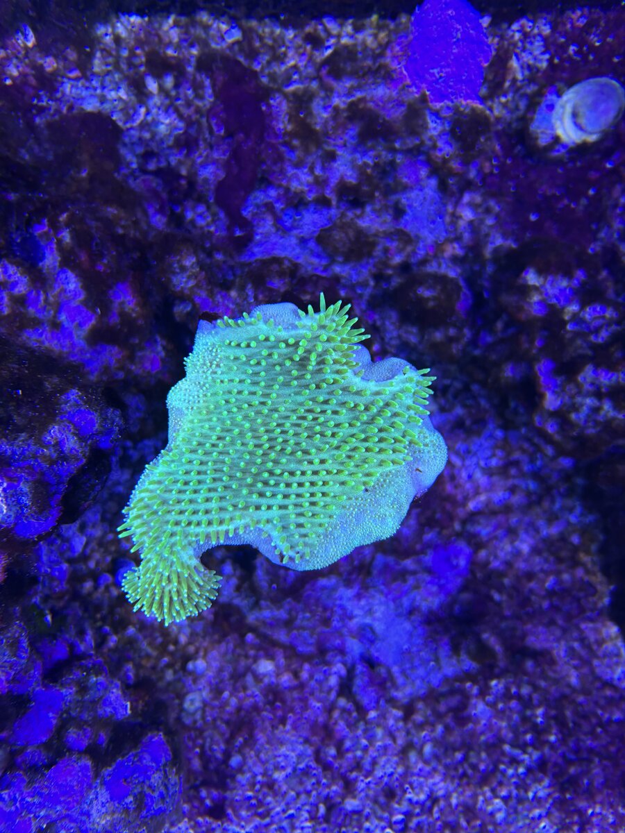 IMG_4471.jpeg