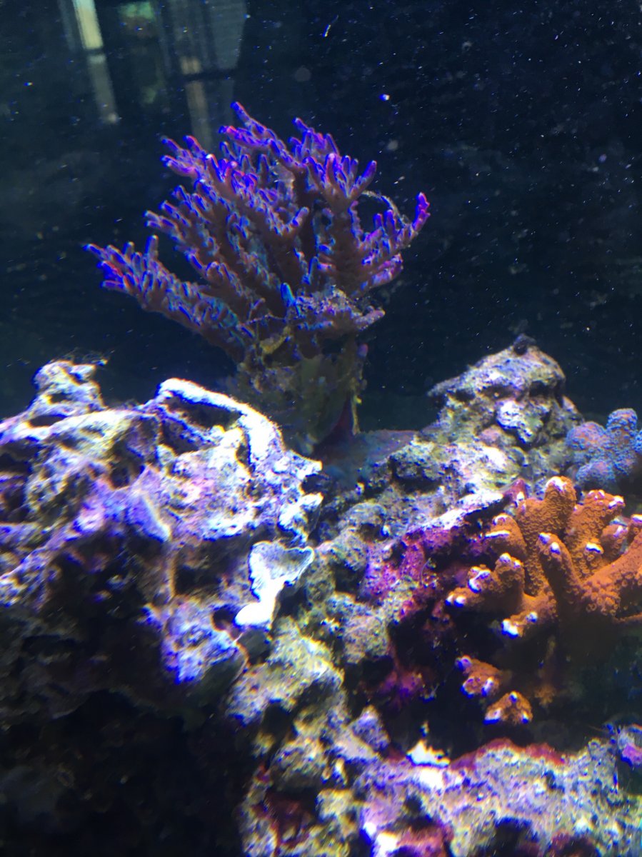 IMG_4476.JPG