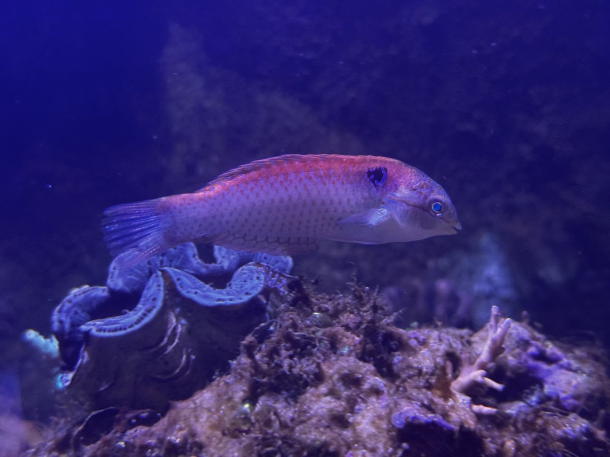 IMG_4480.jpeg