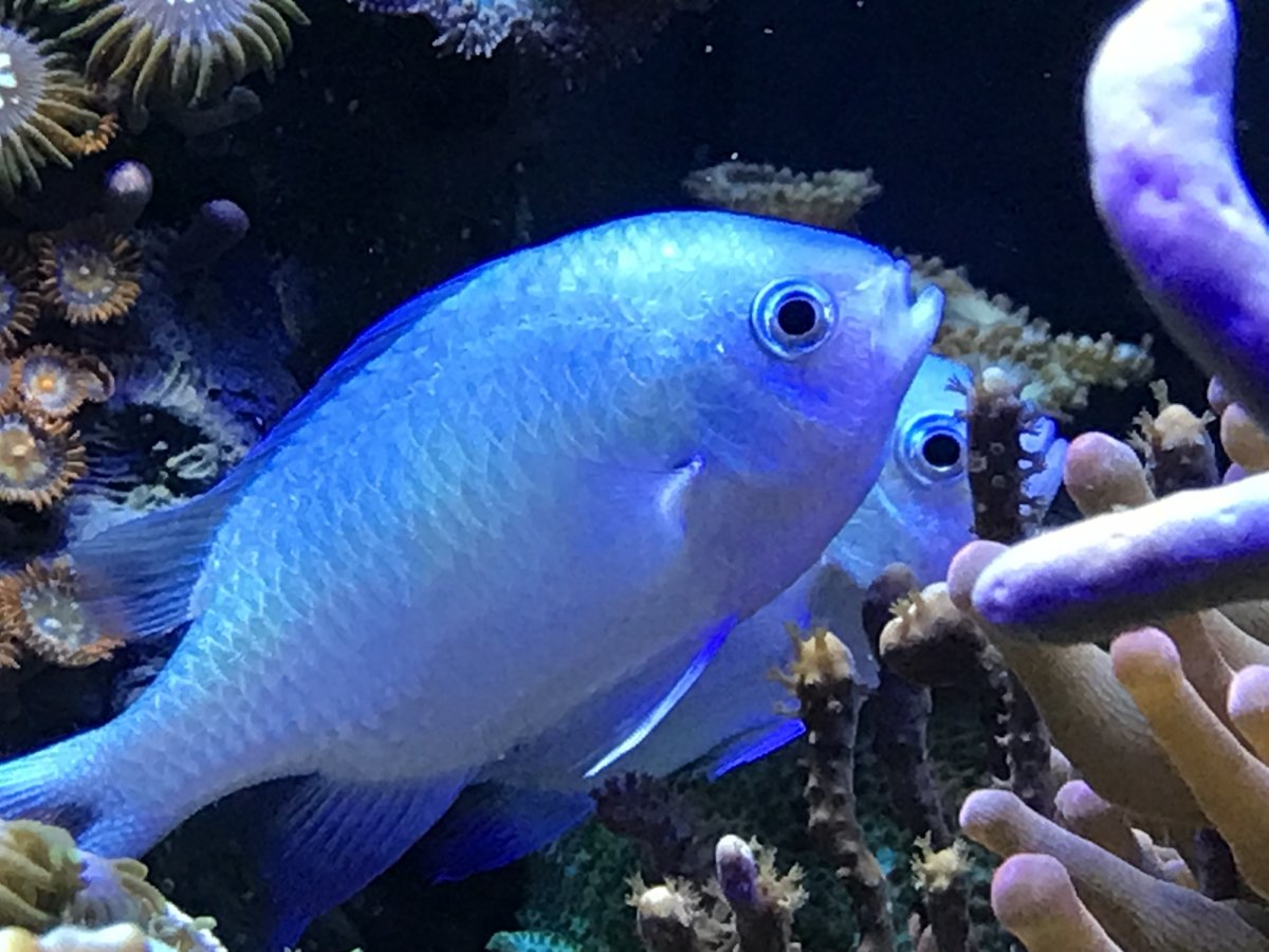 IMG_4503.jpg