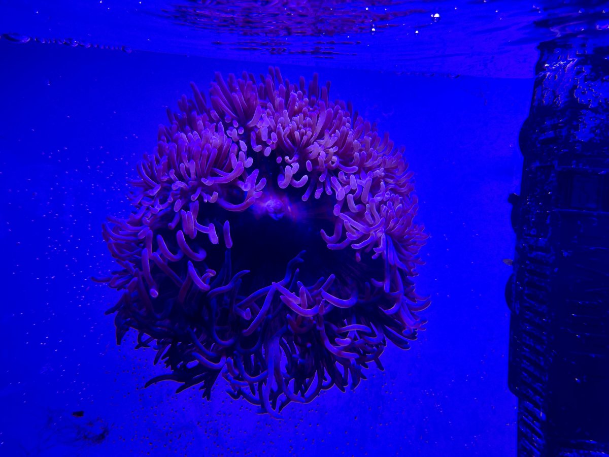IMG_4547.jpeg