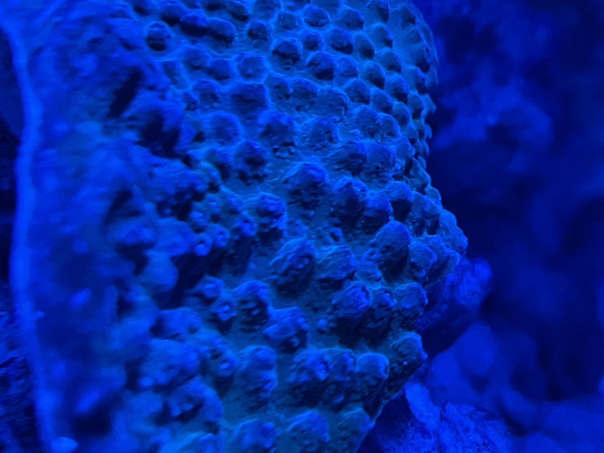 IMG_4556.jpeg
