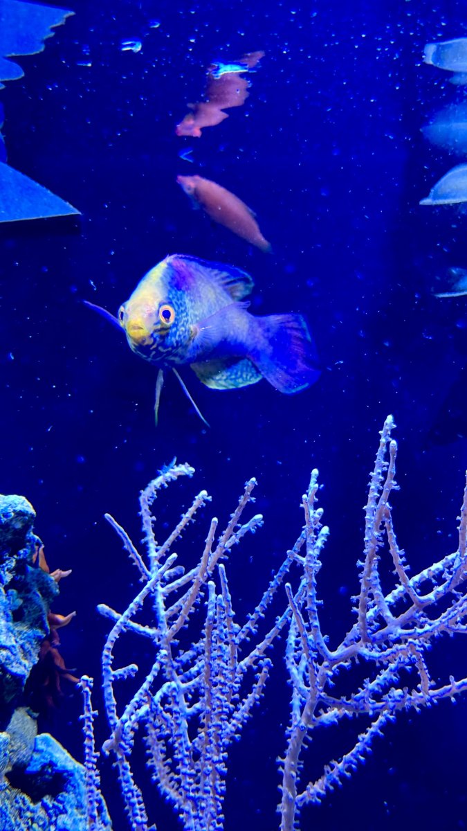 IMG_4572.jpeg