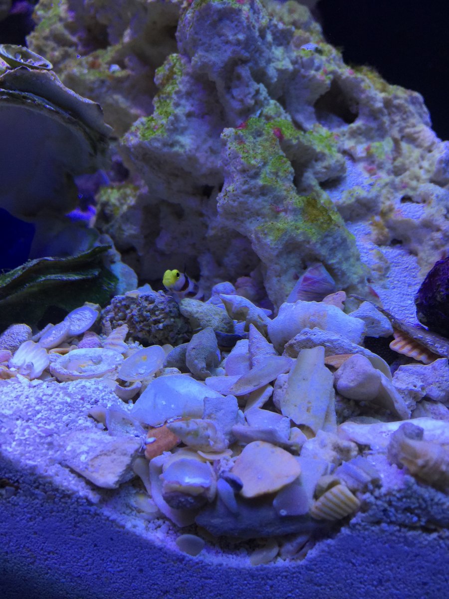 IMG_4576.JPG