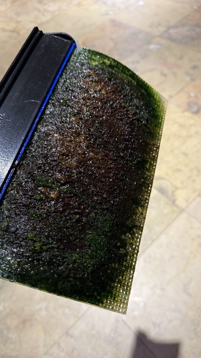 IMG_4579.jpeg