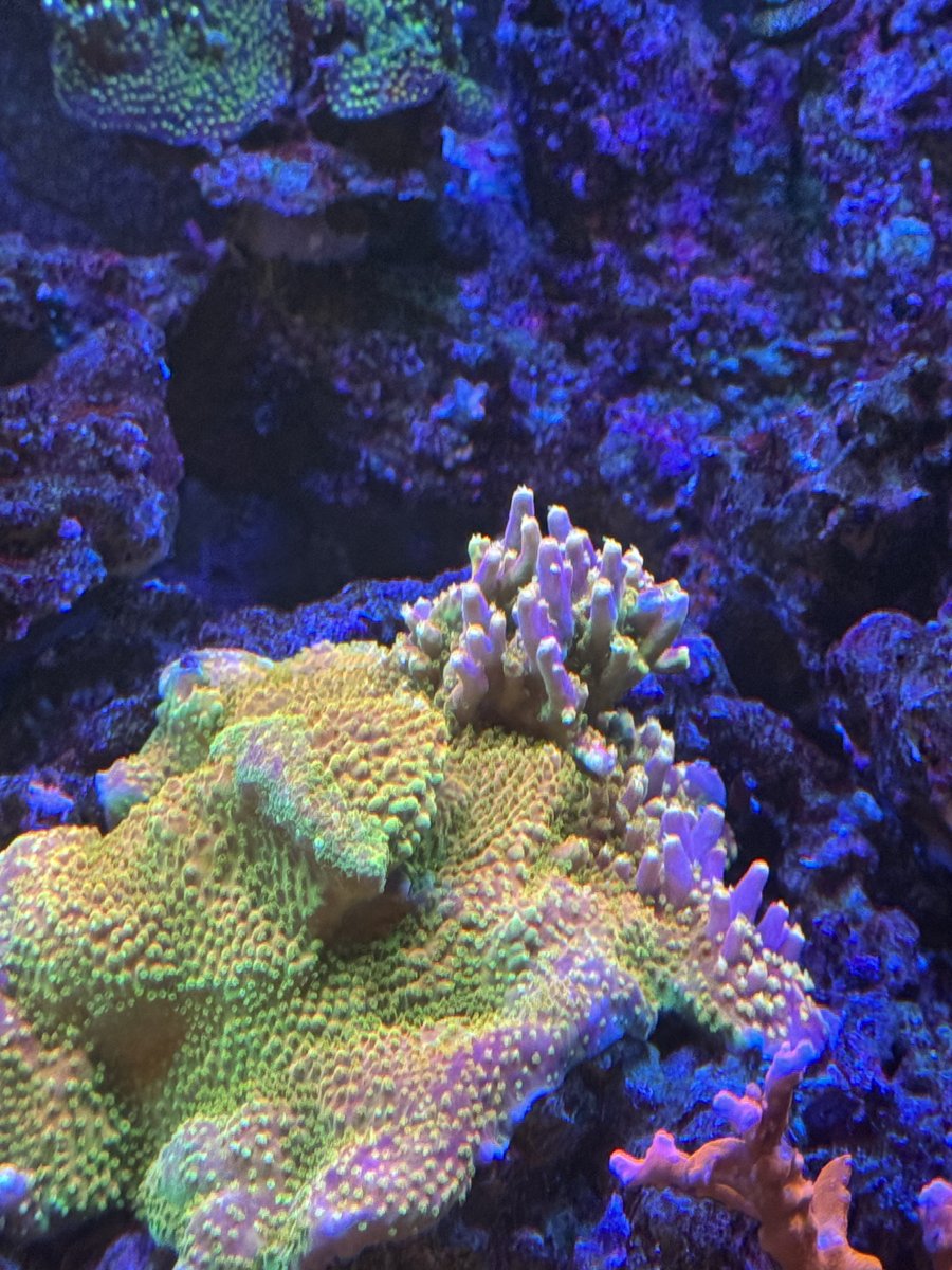 IMG_4602.jpeg
