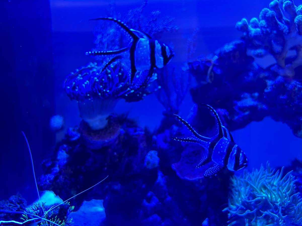 IMG_4613.jpeg