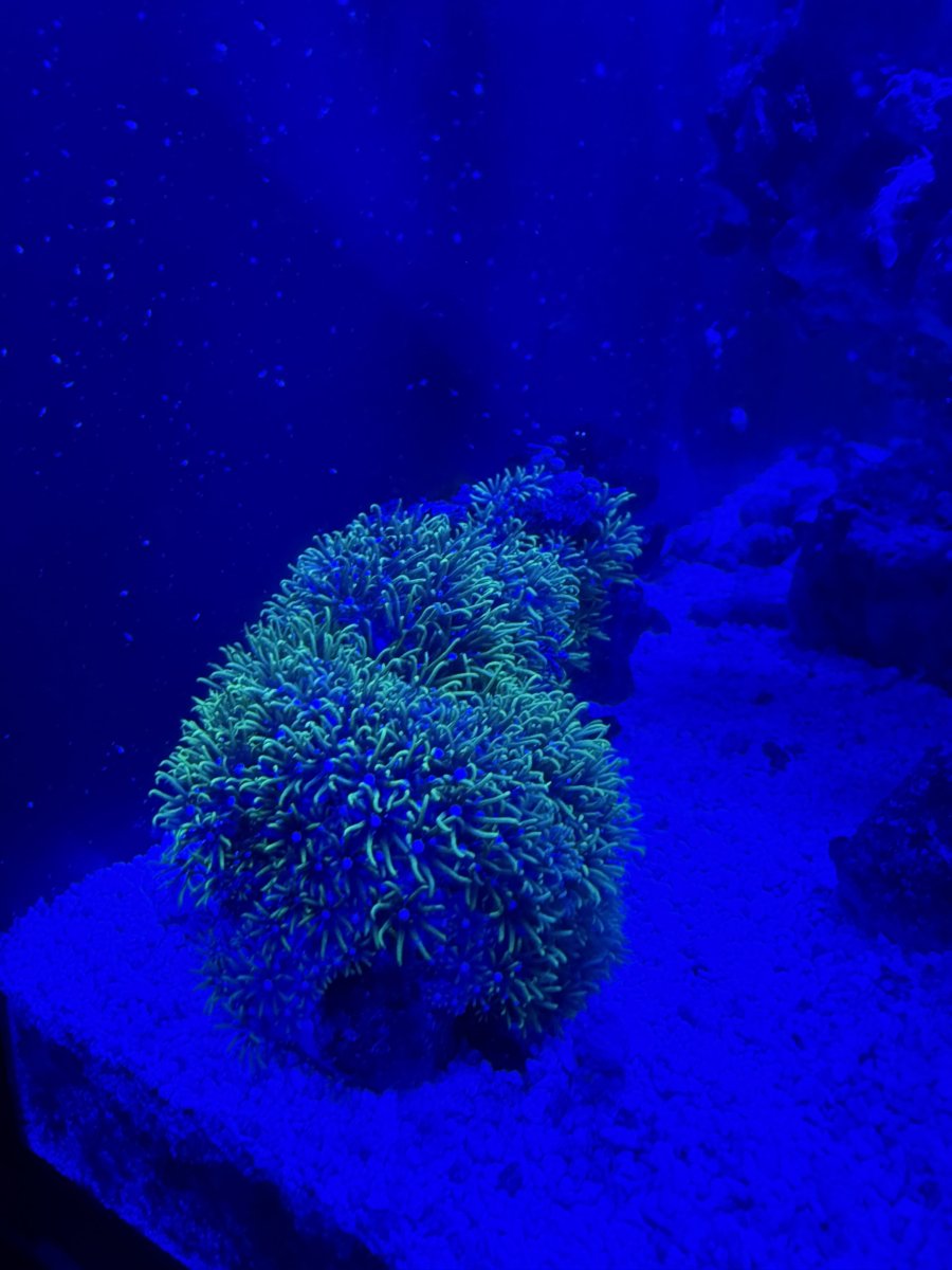 IMG_4619.jpeg