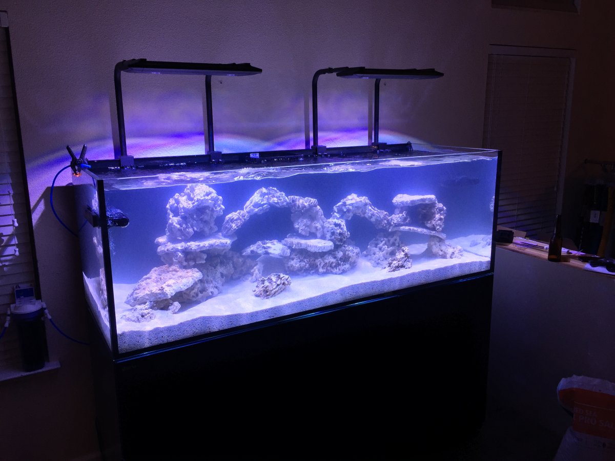 Build Thread Red Sea Xxl 750 New Build Rocklin Page 2 Reef2reef Saltwater And Reef Aquarium Forum