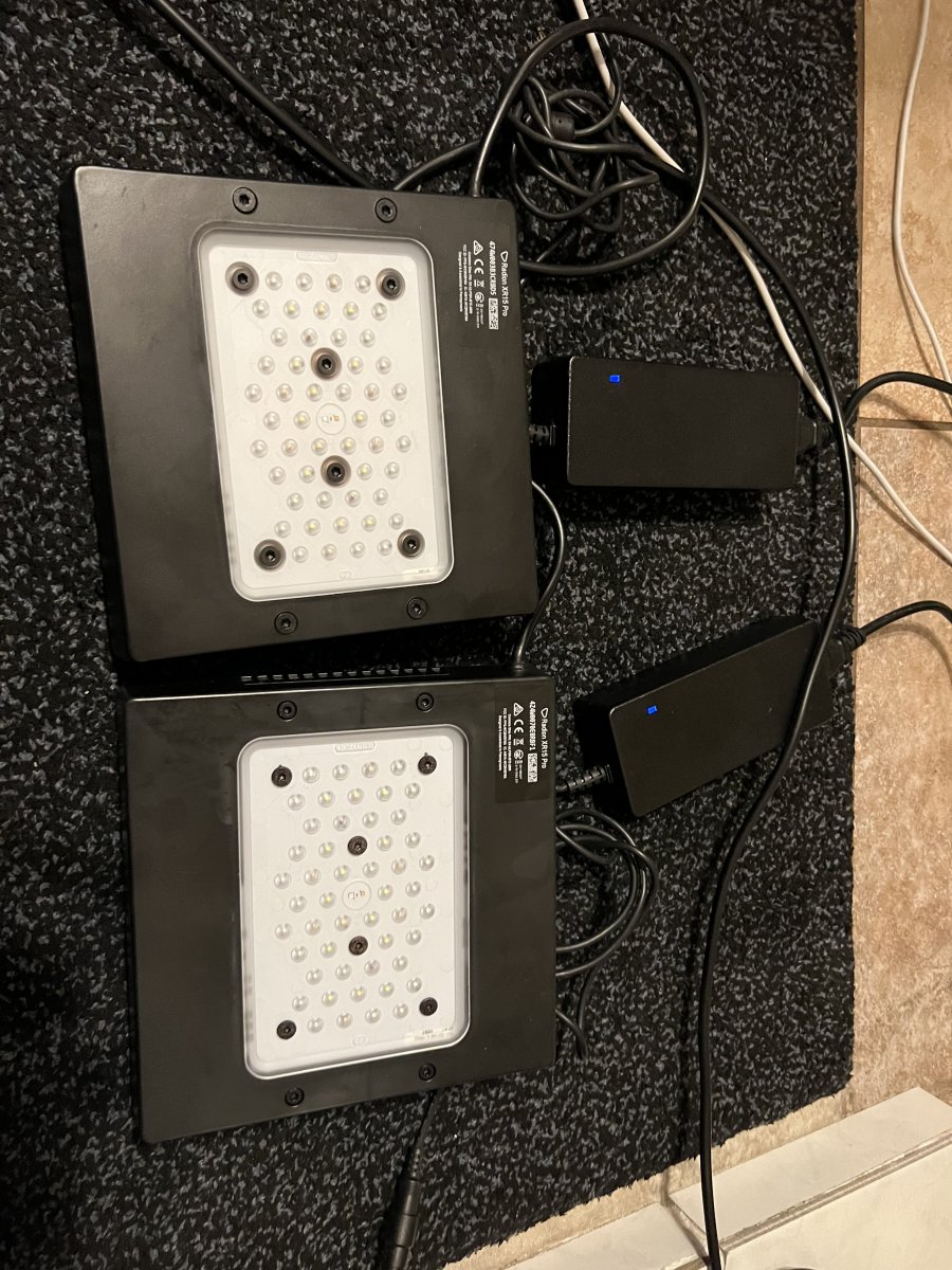 【美品！】Radion G5 XR30 PRO おまけ付き Radion XR30 G5 PRO LED Light Fixture - Bulk Reef Supply