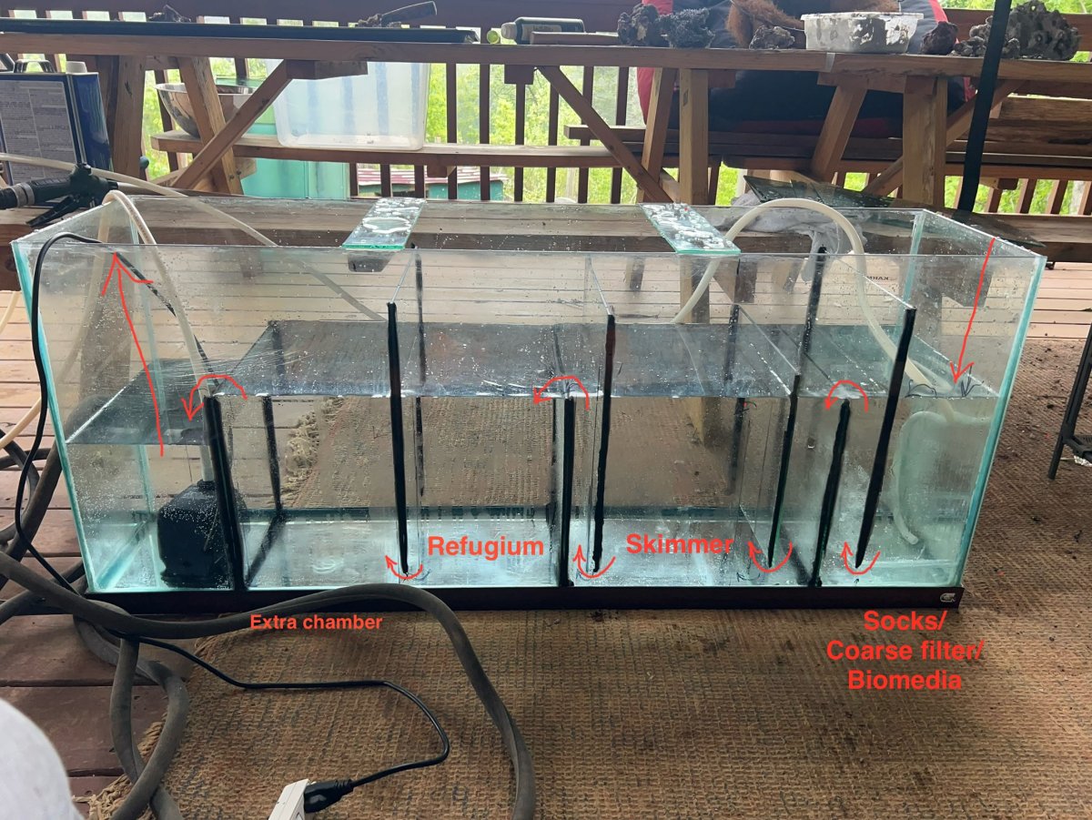 Water level of diy sump | Reef2Reef