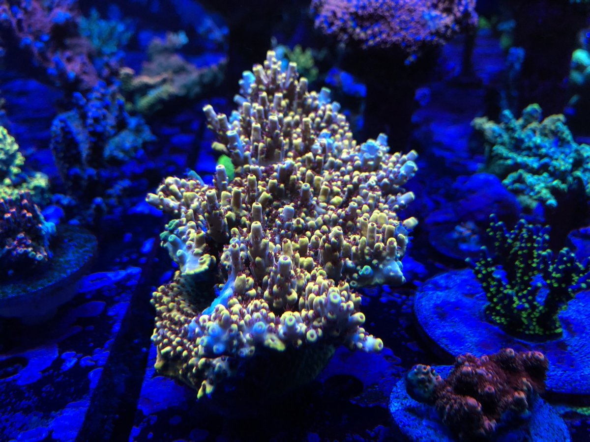 IMG_4638.JPEG