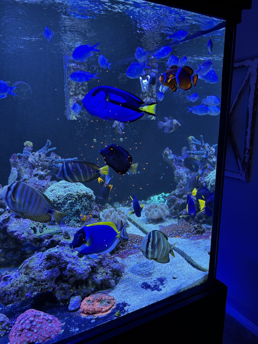 IMG_4656.jpeg