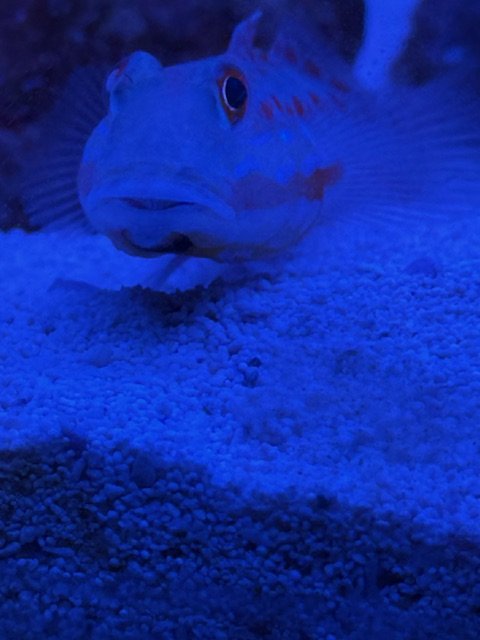 IMG_4662.jpg