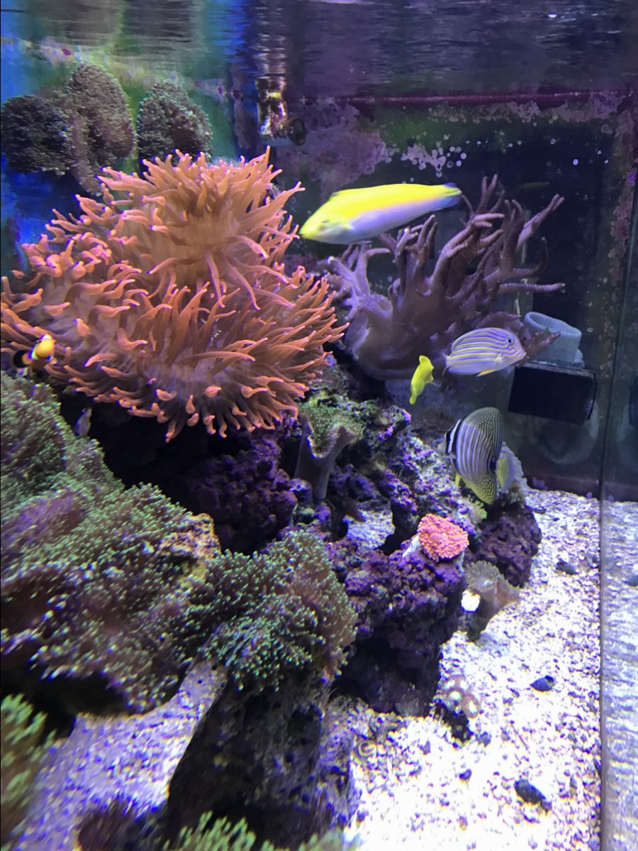 IMG_4678.JPG