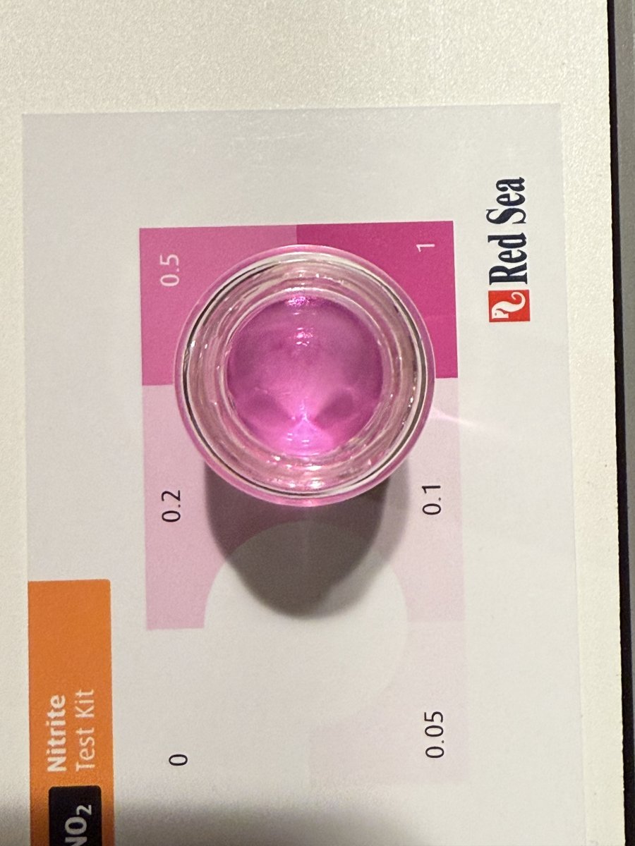 IMG_4683.jpeg