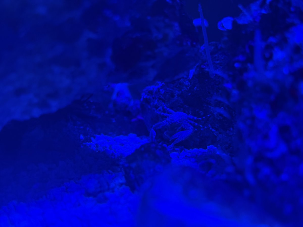 IMG_4686.jpeg