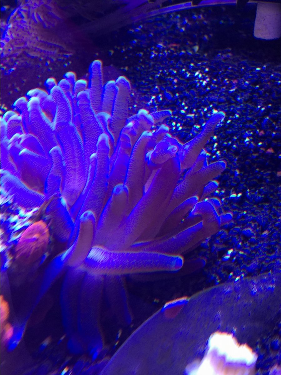 IMG_4694.JPG