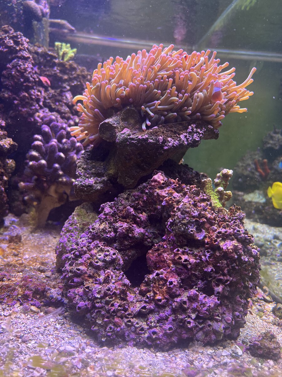 IMG_4708.jpeg