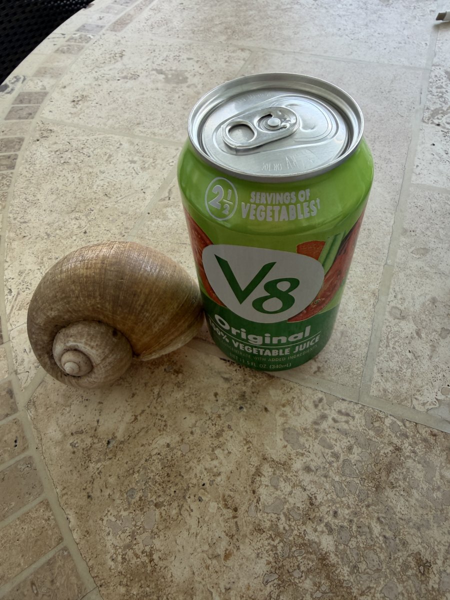 IMG_4709.jpeg
