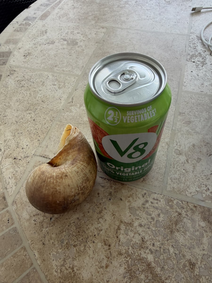 IMG_4710.jpeg