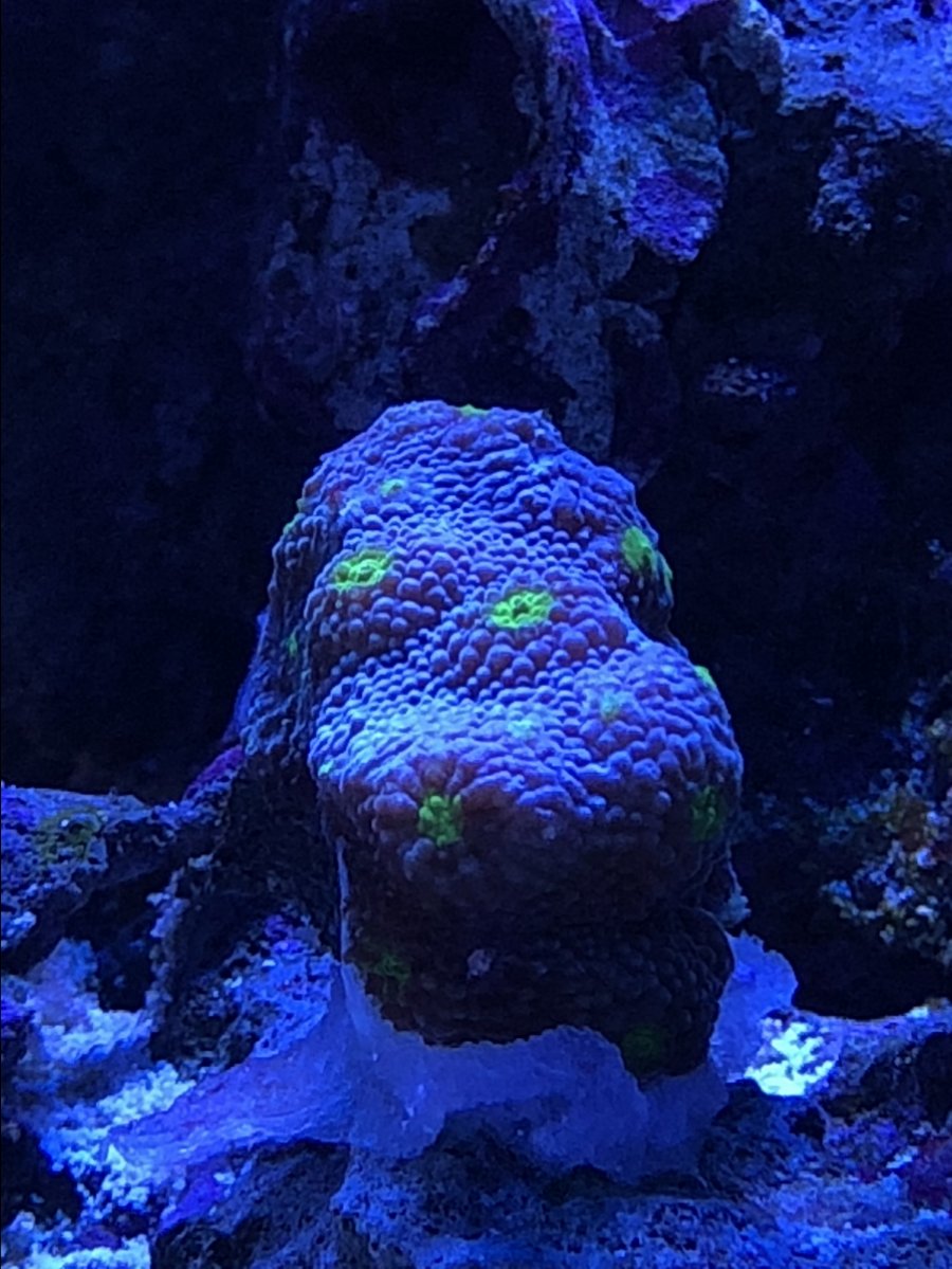 IMG_4725.JPG