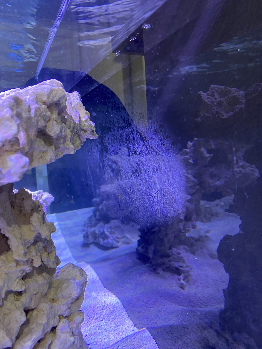 IMG_4760.jpeg
