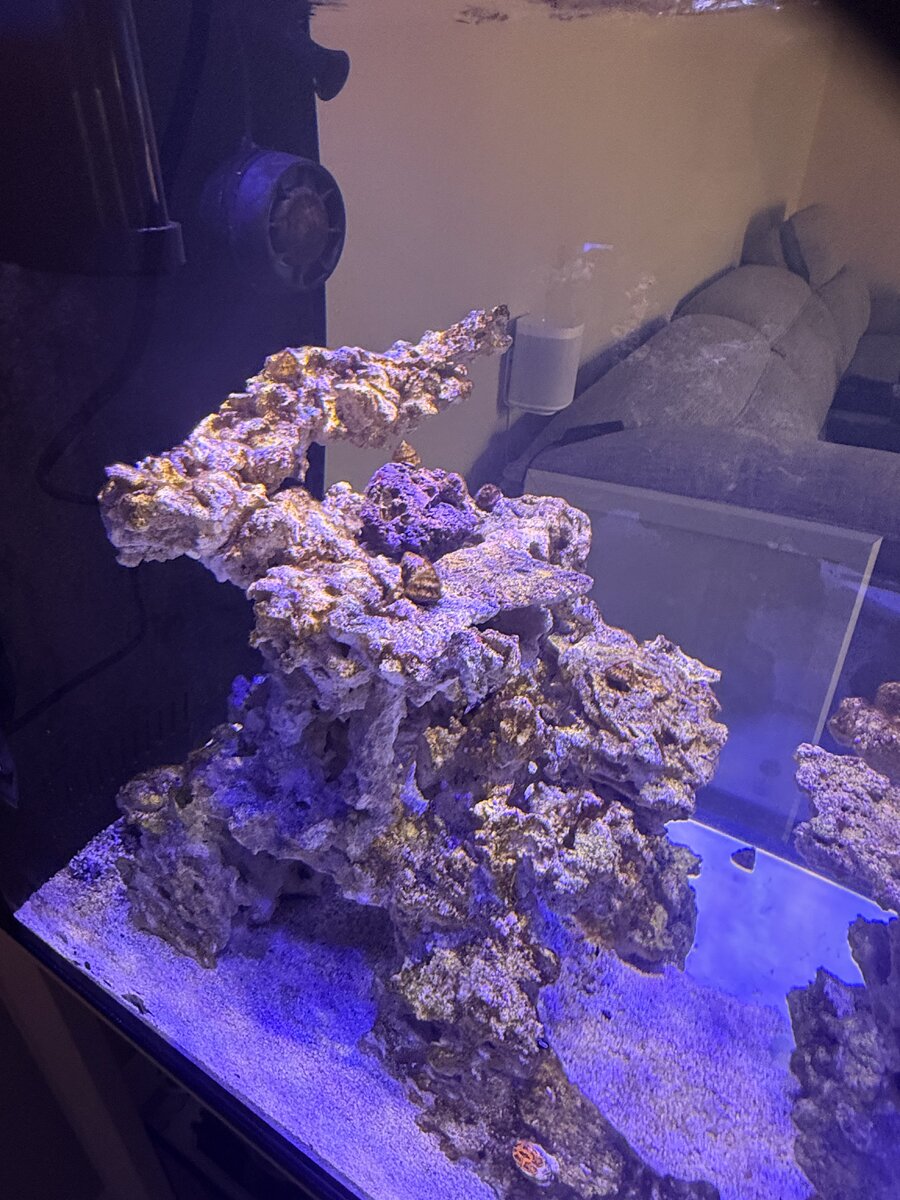 IMG_4761.jpeg