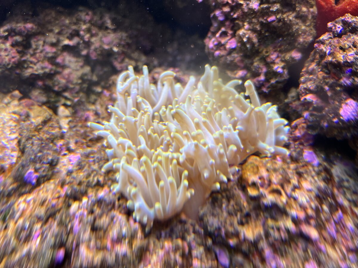 IMG_4765.jpeg