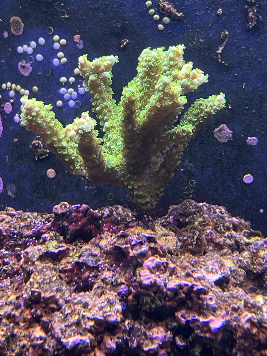 IMG_4766.jpeg