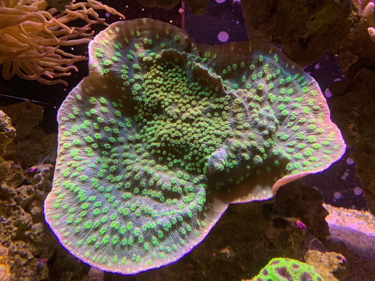 IMG_4783.jpg