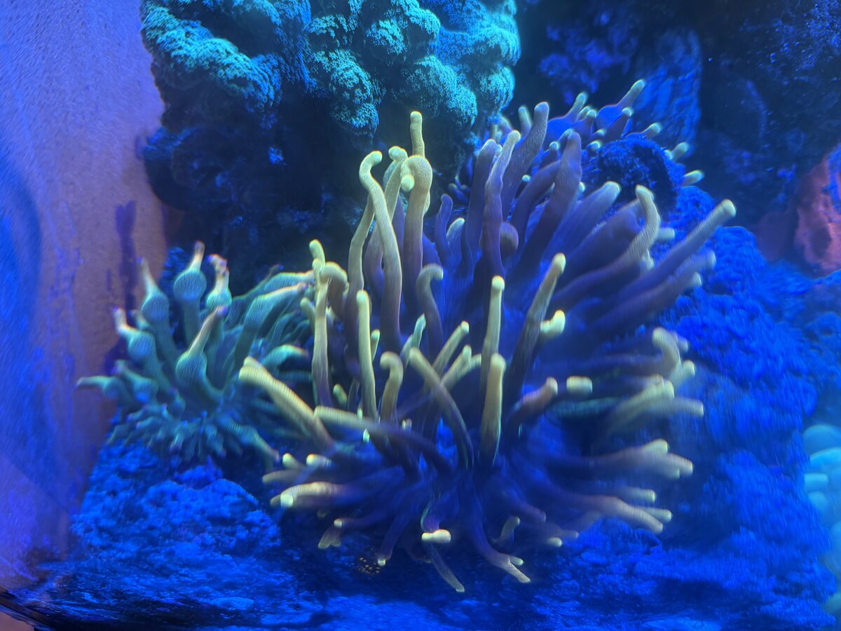 IMG_4787.jpeg