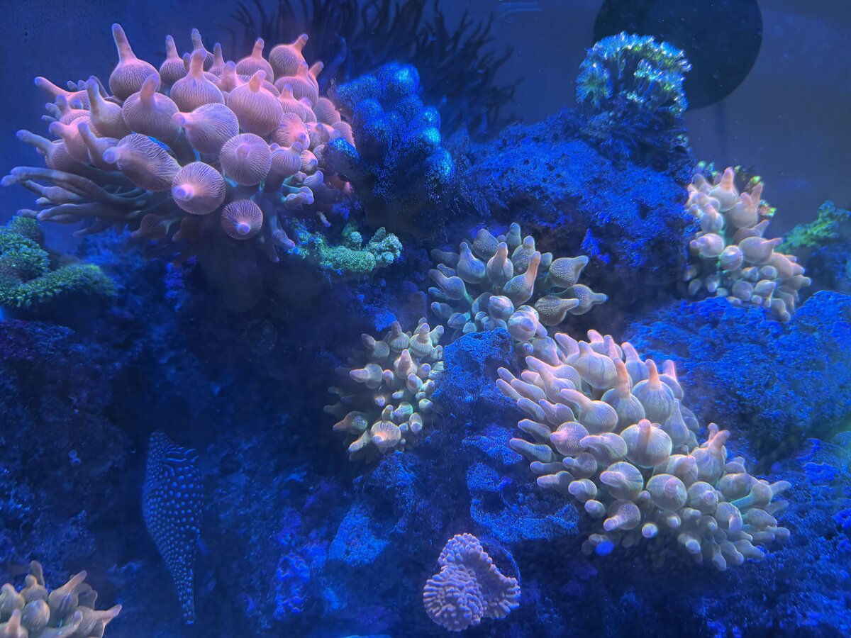 IMG_4789.jpeg
