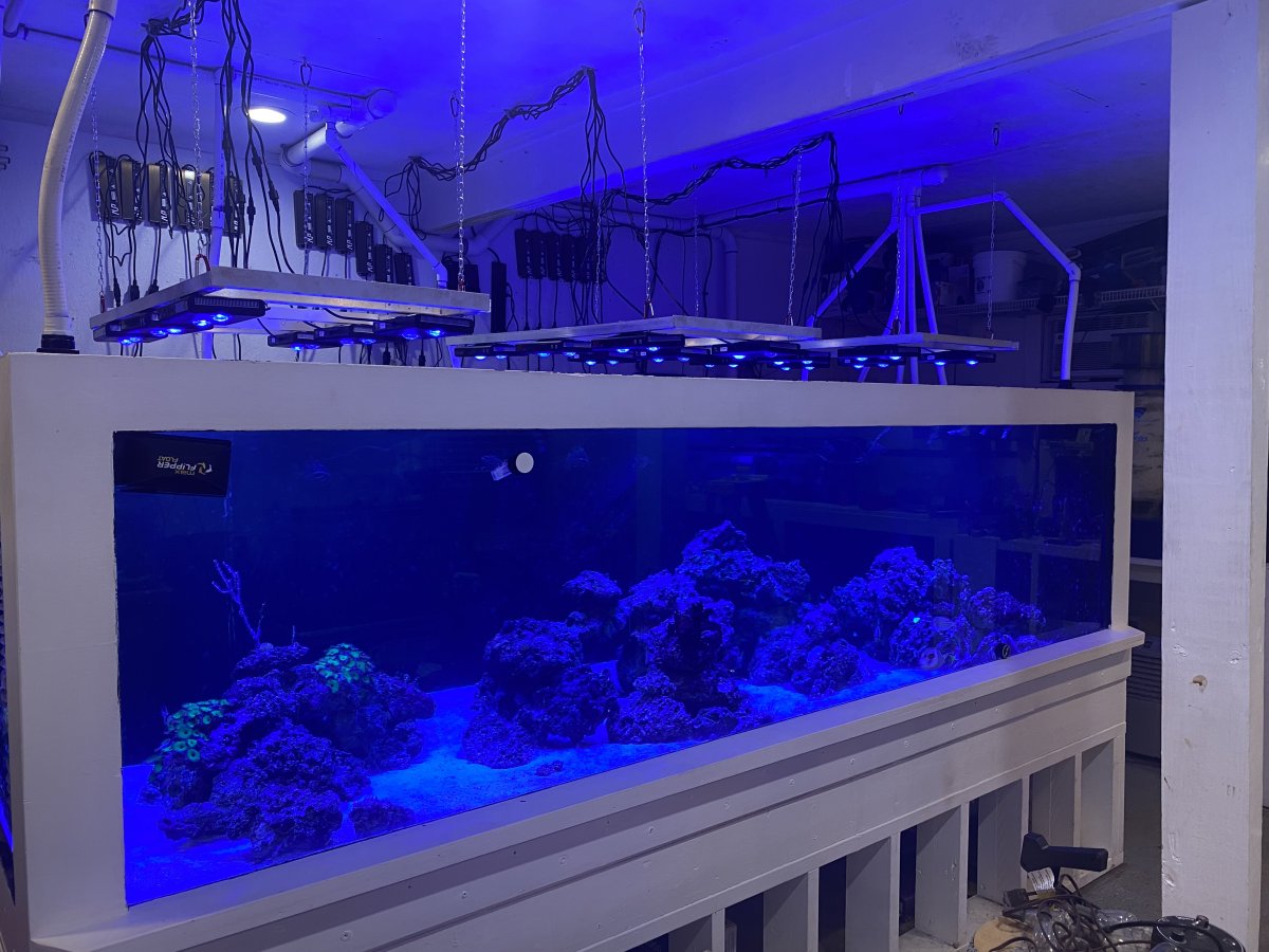 QUESTION OF THE DAY - Are Reef2Reef build threads helpful to you and ...