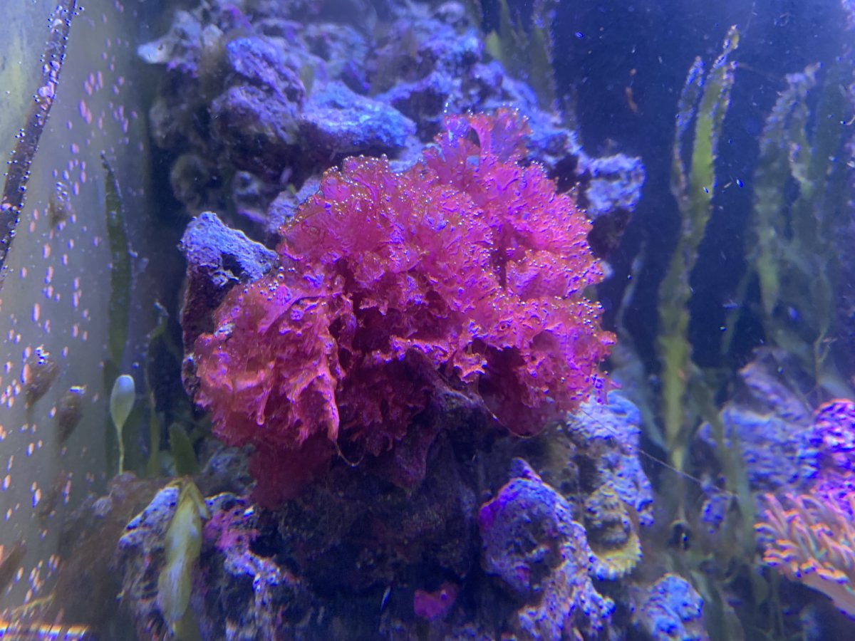 IMG_4803.jpeg