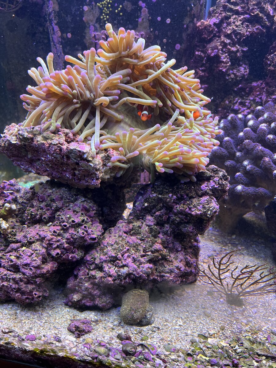 IMG_4815.jpeg