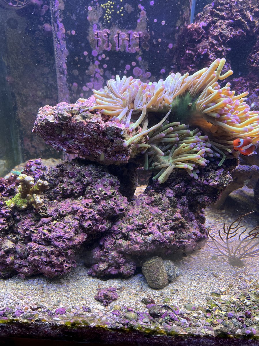 IMG_4819.jpeg