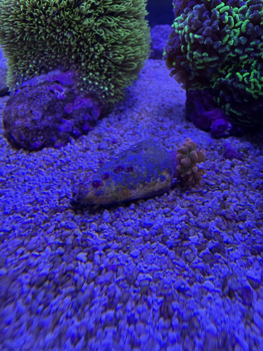 IMG_4821.jpeg
