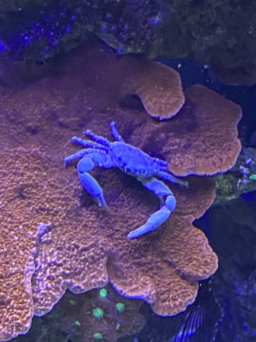 IMG_4826.jpeg