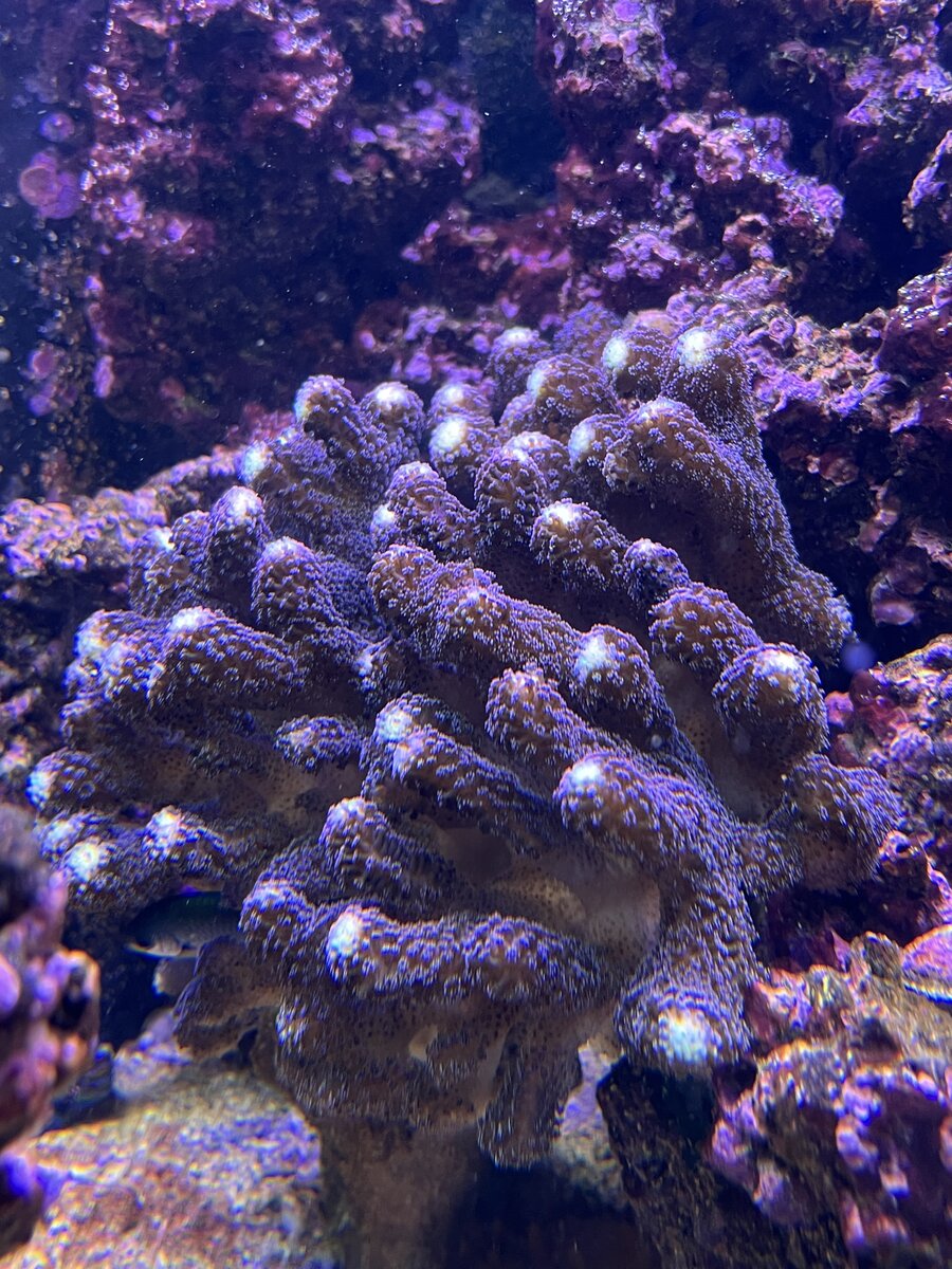IMG_4829.jpeg