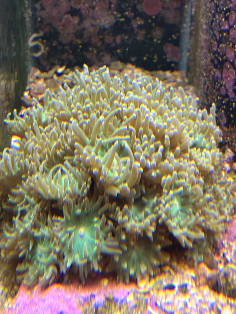 IMG_4831.jpeg